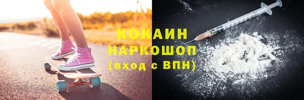крисы Коряжма