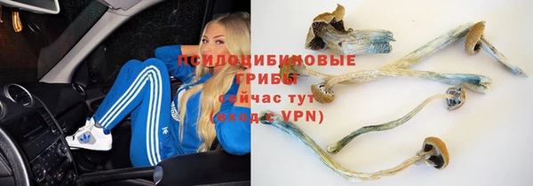 мяу мяу кристалл Корсаков