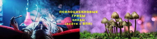 мяу мяу кристалл Корсаков