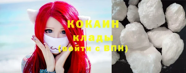 крисы Коряжма