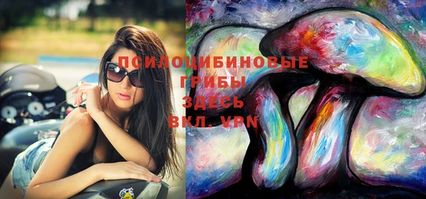 мяу мяу кристалл Корсаков