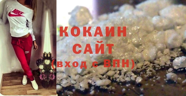 крисы Коряжма