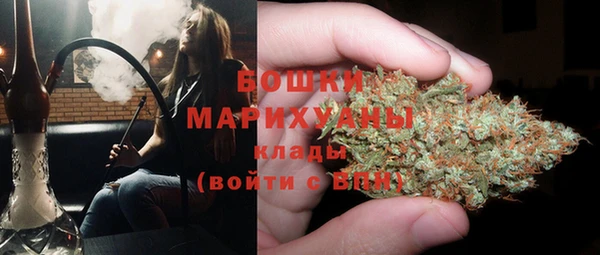 крисы Коряжма