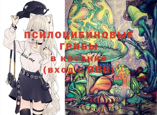 крисы Коряжма