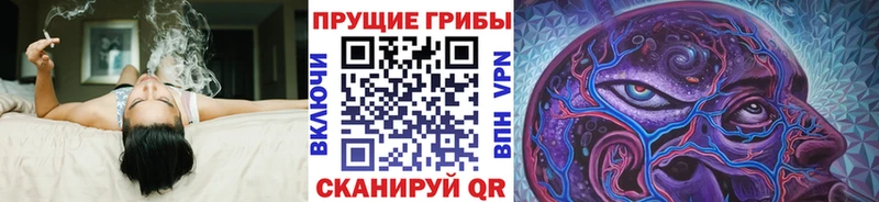 Купить закладки  Каспийск  Галлюциногенные грибы Cubensis 